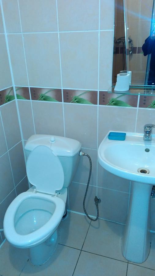Ok Ogonek Hotel Volma Bagian luar foto